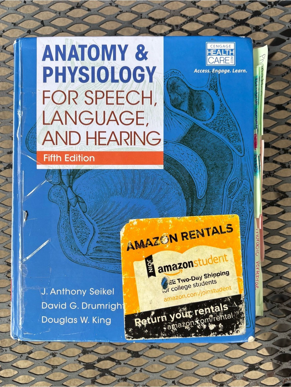 Anatomy and physiology for speech language pathology book